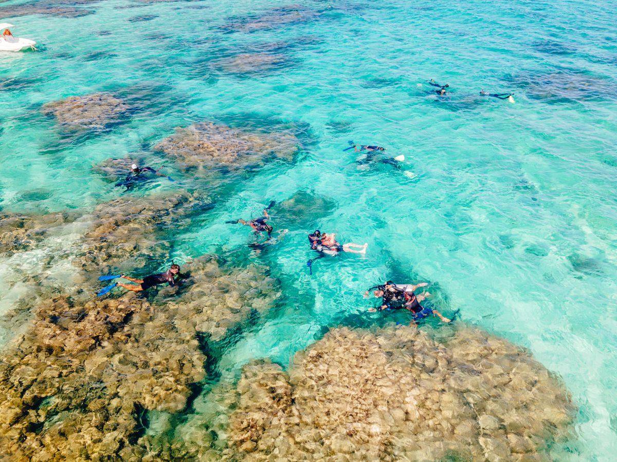 Pessoas fazendo snorkel entre os corais das Galés, em Maragogi