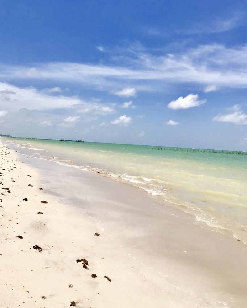 Praia de Ponta de Mangue, em Maragogi, com areia branca e mar verde-claro